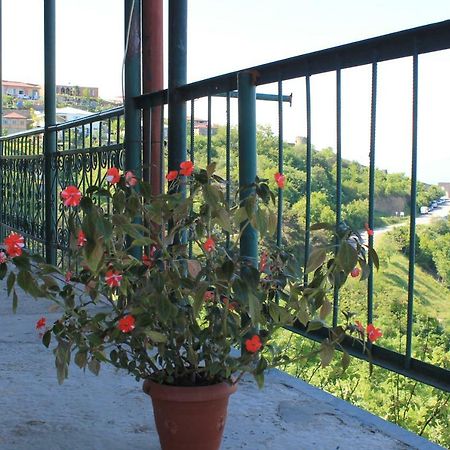 Guest House Shota Sighnaghi Esterno foto