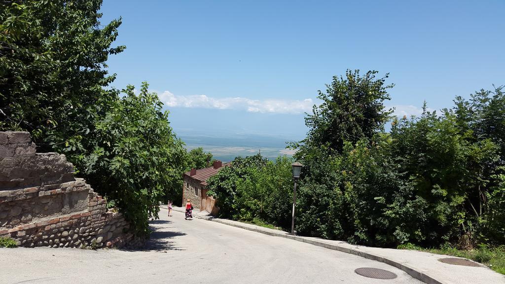 Guest House Shota Sighnaghi Esterno foto