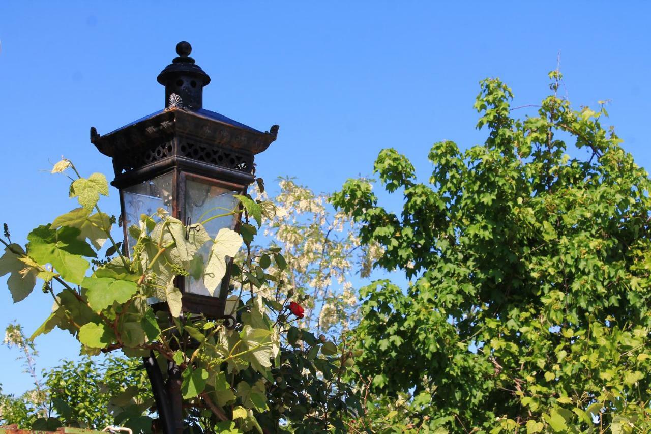 Guest House Shota Sighnaghi Esterno foto
