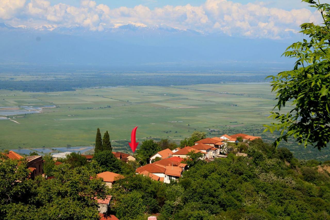 Guest House Shota Sighnaghi Esterno foto